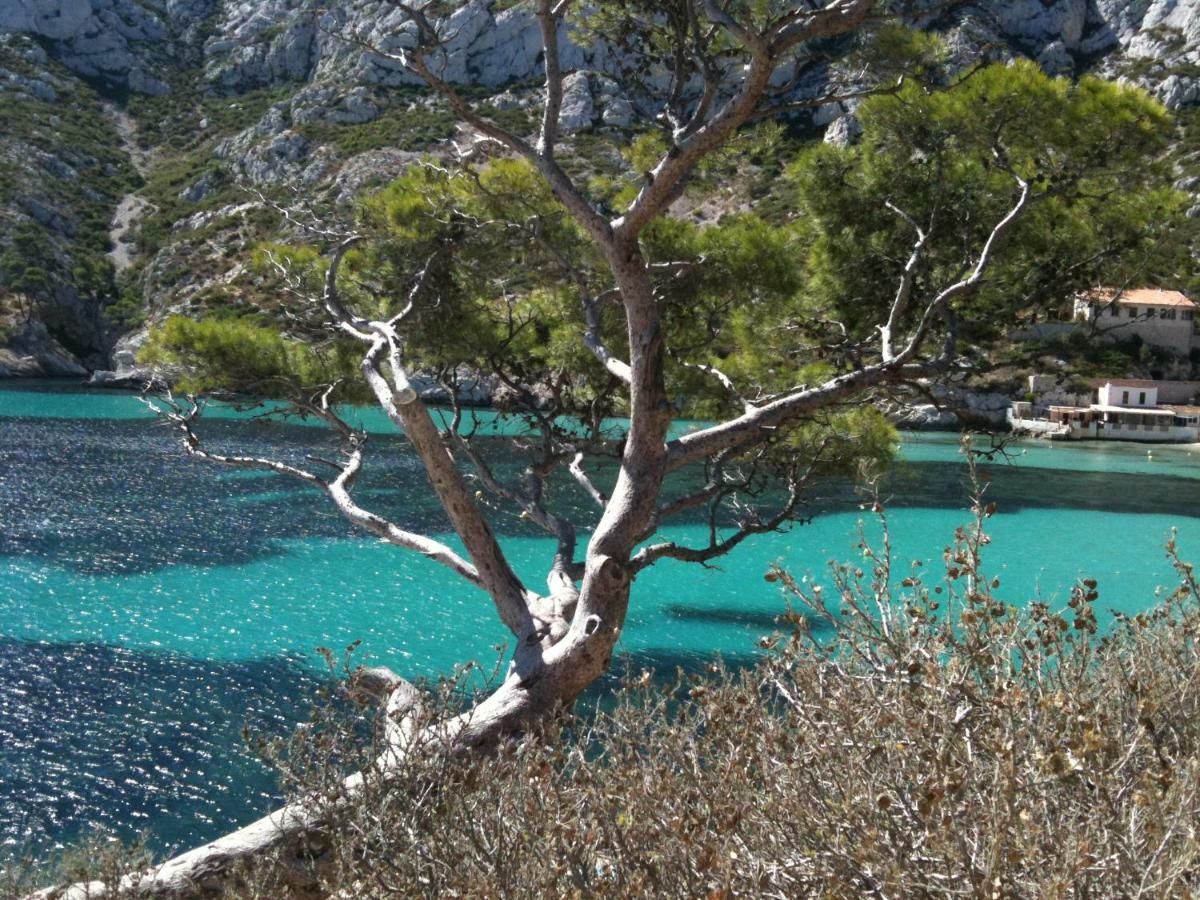 Home A La Mer La Ciotat Ngoại thất bức ảnh